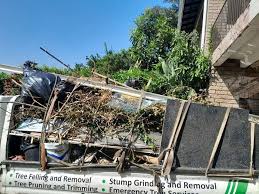 Best Basement Cleanout  in Mazomanie, WI